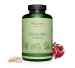 Vegan collagen