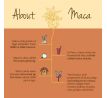 maca extrakt