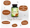 BIO Chaga extrakt