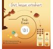 Reishi extrakt