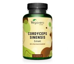 cordyceps extrakt